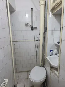 Garsoniera in vila la curte - foto 4