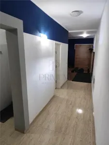 Spatiu comercial - demisol - 3 camere - foto 2