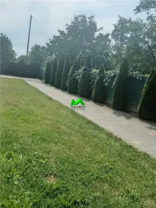 Casă 6 camere Sibiu - poza 6