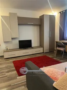 Apartament 2 camere COPOU- CUZA - foto 6
