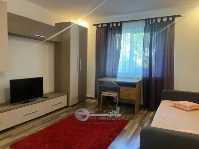 Apartament 2 camere COPOU- CUZA - foto 8