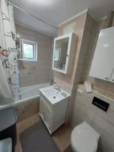 Apartament 3 camere Timișoara - poza 2