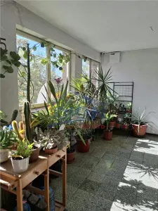 Aleea Dumbravita - CN Grigore Moisil - Drumul Taberei - foto 11