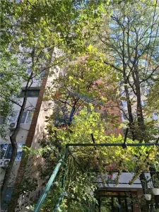 Aleea Dumbravita - CN Grigore Moisil - Drumul Taberei - foto 5