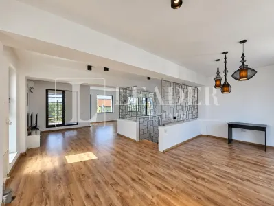 Vila individuala de vanzare Baneasa I Arhitectura moderna - foto 15