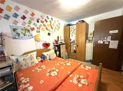 Apartament 2 camere decomandat, parter înalt- Nicolina Belvedere - foto 3