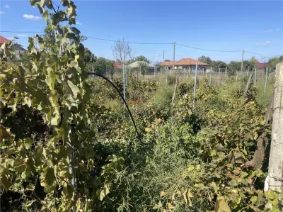 Casa de vanzare in sat Hangulesti cu suprafata de 133 mp , suprafata teren 2000 mp - foto 18