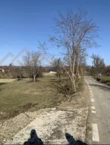 Tren intravilan, situat in zona numita Coasta, loc. Sindresti , cpm. Dumbravita - Sindresti