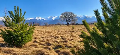 Teren  intravilan cu vedere la munti de vanzare - Avrig