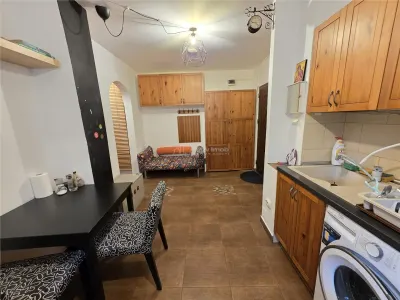 2 camere decomandat - Str. Plugarilor - Timpuri Noi - foto 8