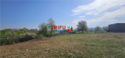 Oportunitate excelentă de investiție în Alba Iulia – zona Podei - Alba Iulia