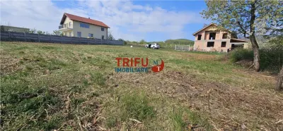 Oportunitate excelentă de investiție în Alba Iulia – zona Podei - foto 3