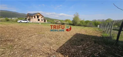 Oportunitate excelentă de investiție în Alba Iulia – zona Podei - foto 5
