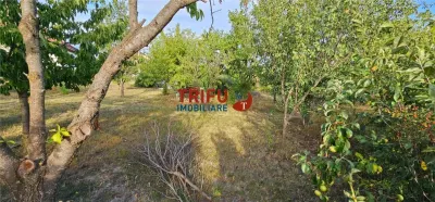 Teren Intravilan de Vânzare în Ighiu, 747 mp – Ideal pentru Casă într-un Cartier Nou - foto 6