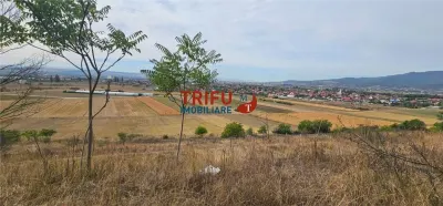 Teren Extravilan De Vanzare Cu Panorama In Barabant ! - foto 2