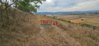 Teren Extravilan De Vanzare Cu Panorama In Barabant ! - foto 4