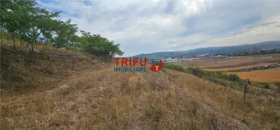 Teren Extravilan De Vanzare Cu Panorama In Barabant ! - foto 7