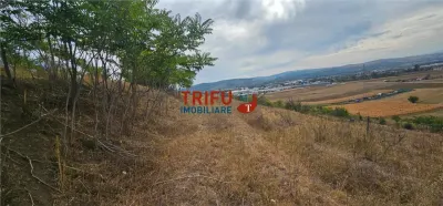 Teren Extravilan De Vanzare Cu Panorama In Barabant ! - foto 8