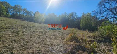 Teren Intravilan De Vanzare Ampoita ! - foto 2