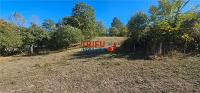 Teren Intravilan De Vanzare Ampoita ! - foto 6