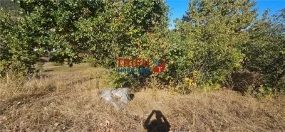 Teren Intravilan De Vanzare Ampoita ! - foto 4