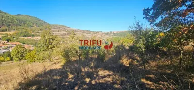Teren Intravilan De Vanzare Ampoita ! - foto 7