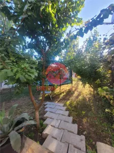Casa P+M 8 Camere Corbu | Panouri Fotovoltaice | Perfecta pentru inchiriat - foto 23
