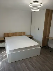 APARTAMENT 1 CAMERĂ  | ZONA ȘAGULUI - foto 9