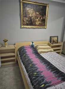 Inchiriere Apartament 3 Camere Semidecomandat Emil Racovita - foto 7