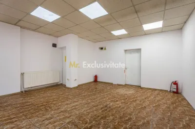 Spatiu comercial Pta Ferentari - foto 6