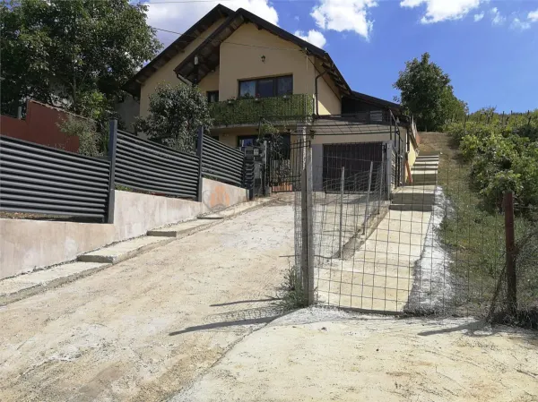 Casă 4 camere Uricani - poza 8