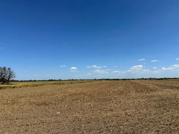 Teren Șag - poza 1