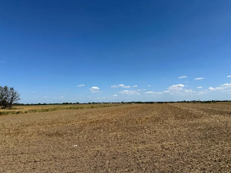 Teren Șag - poza 1