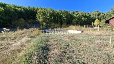 Teren Ștefănești - poza 5