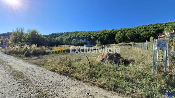 Teren Ștefănești - poza 7