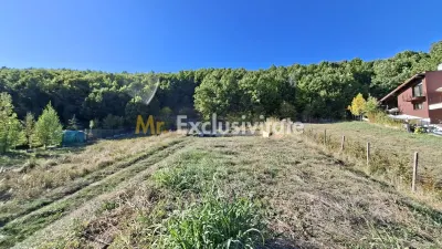 Teren Ștefănești - poza 8