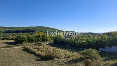 Teren Ștefănești - poza 9