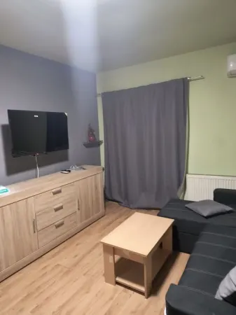 Apartament 1 camera Cluj-Napoca - poza 1
