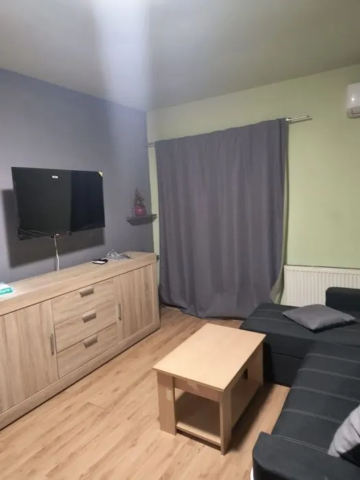Apartament 1 camera Cluj-Napoca - poza 1