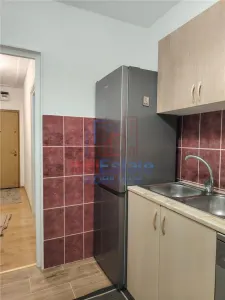 Apartament 2 camere decomandat, 54 mp, parter, Alexandru cel Bun - foto 7