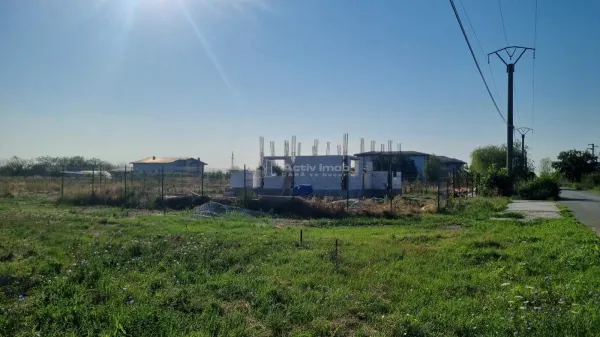 Teren 1 Decembrie - poza 5