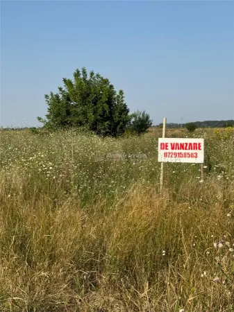 Teren 1 Decembrie - poza 10
