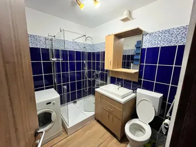 Apartament 2 camere Timișoara - poza 5