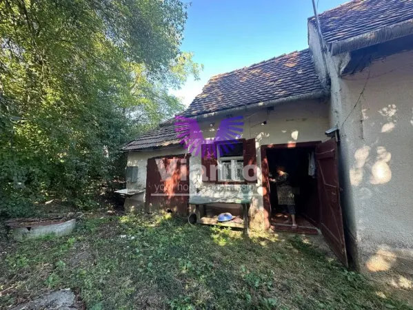 Casă 3 camere Gusu - poza 2