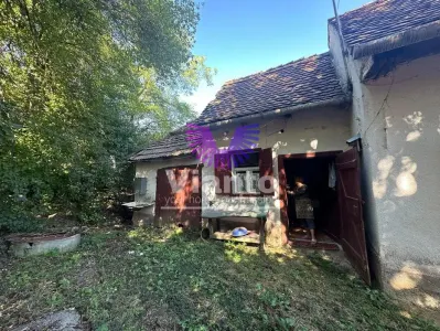 Casă 3 camere Gusu - poza 2