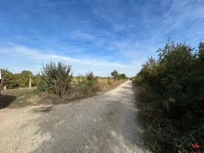 Teren de vanzare 3704 mp, extravilan Odobesti - foto 7