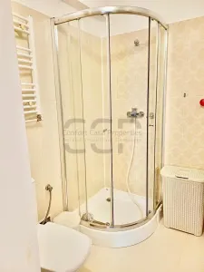 Apartament 2 camere - Parc Cismigiu - Calea Victoriei - foto 8