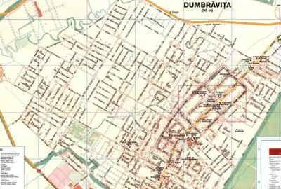 Vand teren intravilan 2500 mp Giarmata Vii str Teilor - foto 11