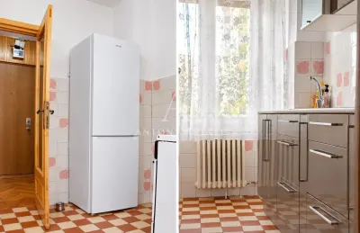 Apartament de inchiriat, Pet friendly, 2 camere, Transilvaniei, Rogerius - foto 3