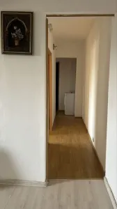 Apartament 2 camere Timișoara - poza 7